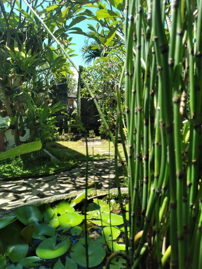 Serongga Guest House Lebih Екстериор снимка
